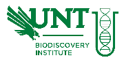 University of North Texas Logo